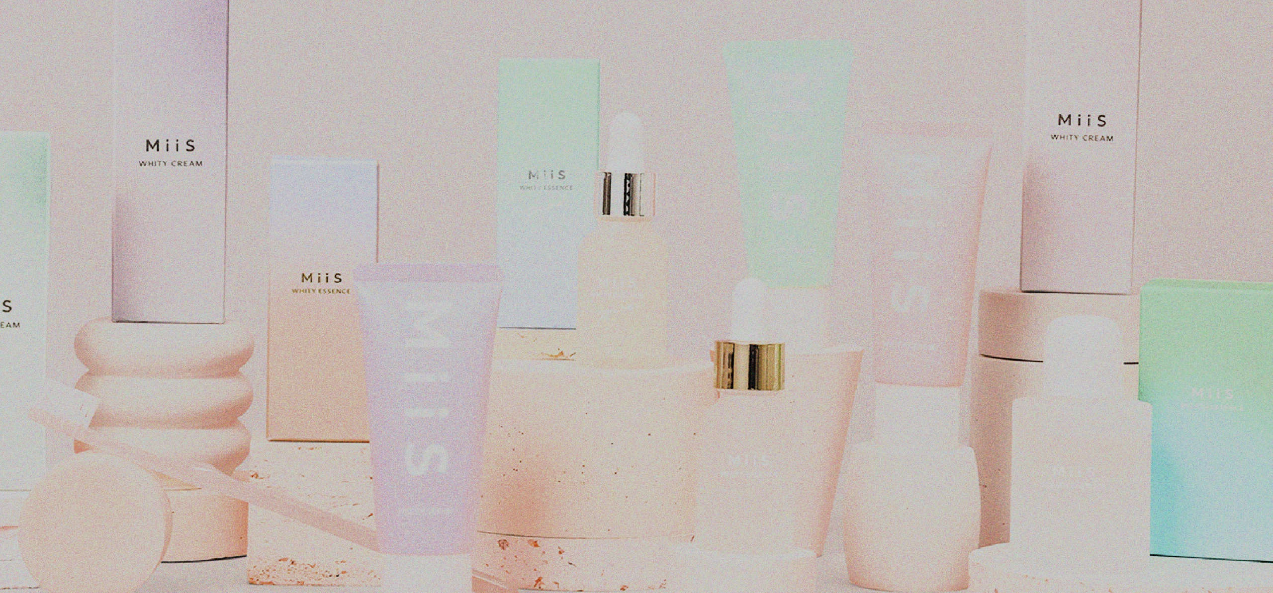 プロジェクト画像